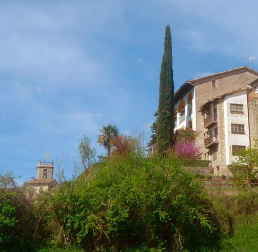 Cal Tofones, Baixos 2. Allotjament Turistic A Borreda ภายนอก รูปภาพ
